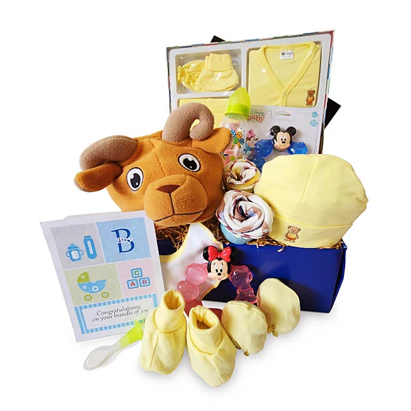 Beary Tot - Newborn Baby Gift Hamper