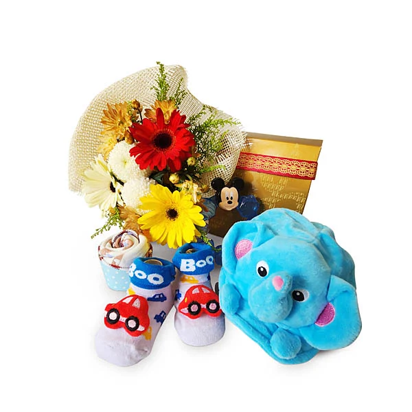 Daisy Bebe - Newborn Baby Shower Gift