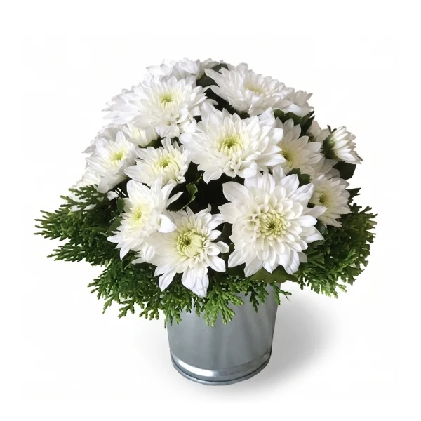 Affordable daisy chrysanthemum flowers in Malaysia. A bright budget-friendly floral arrangement for thoughtful gestures and sympathy delivery in KL & Petaling Jaya