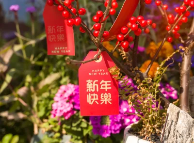 festive-plant-with-red-berries-and-new-year-tags-2026-04-14-04-34-06-utc